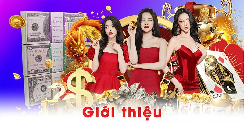Giới Thiệu Tổng Quan Về W388