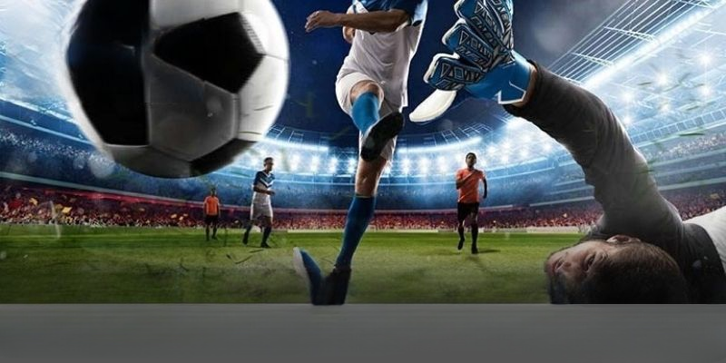 Thể Thao W388 – Mang Thế Giới Cá Cược Đến Gần Bạn Hơn